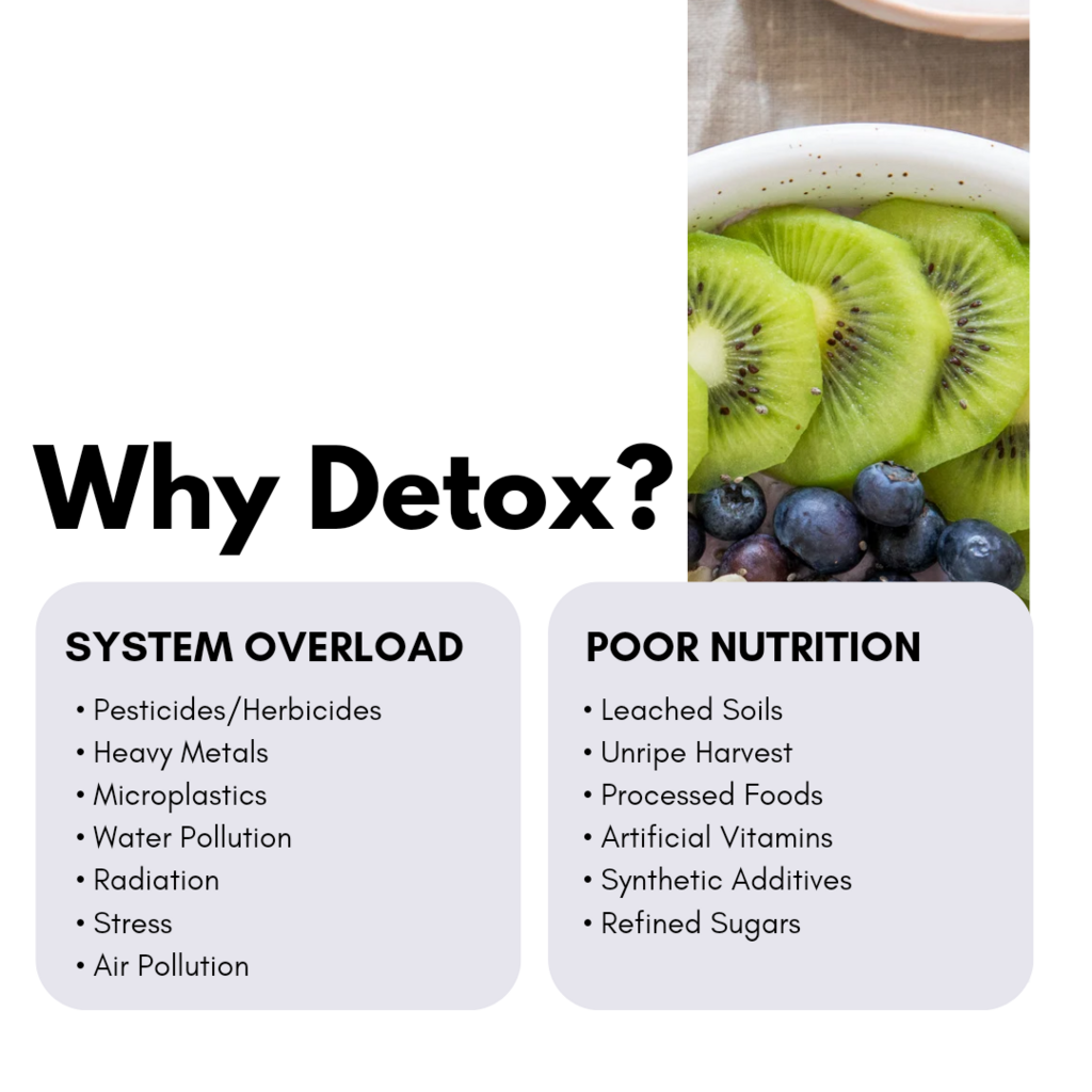 Why Detox?
