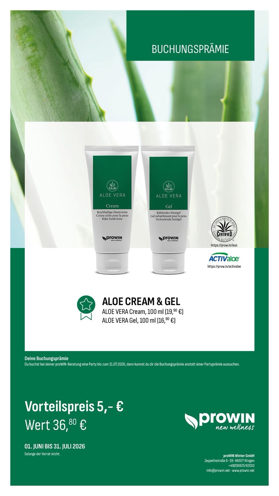 aloe vera mein schöner garten Aloe Vera „Alfonso“ – Aloe-Vera-Pflanze in Gärtnerqualität kaufen main image 1