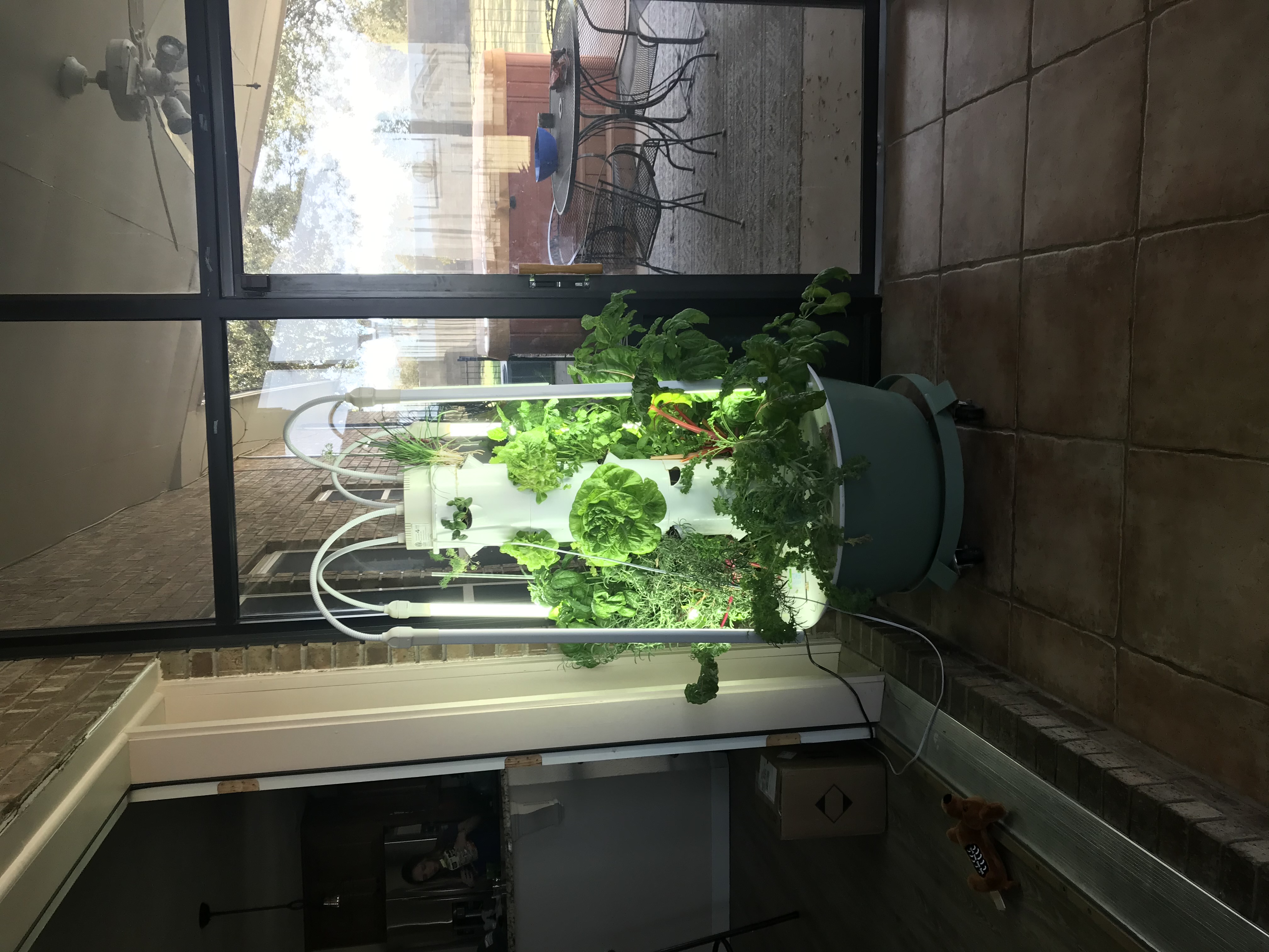 Grow Easily with Tower Garden